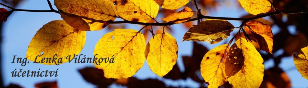 Účetnictví Ing. Lenka Vilánková